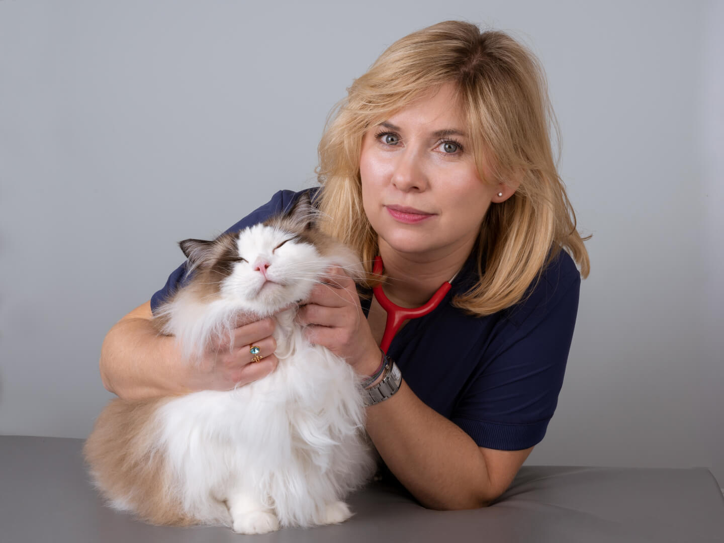 Zespół przychodni weterynaryjnej